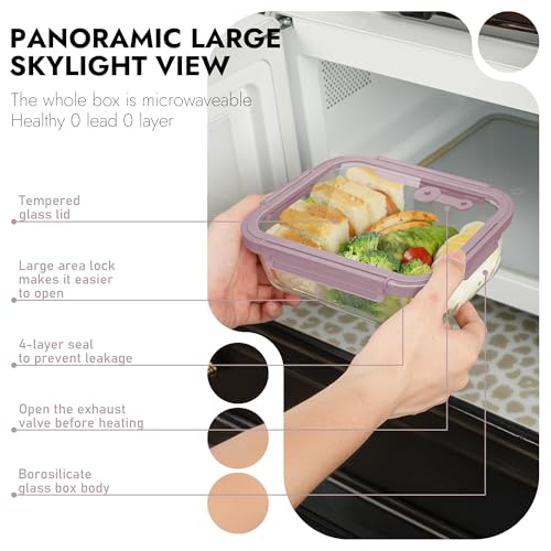 10 Pack Glass Food Storage Containers with Tempered Glass Lids (10 Count)