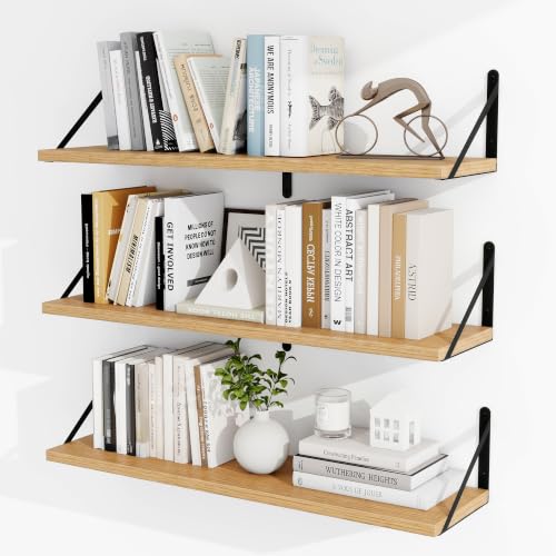 Floating Book Shelves for Wall