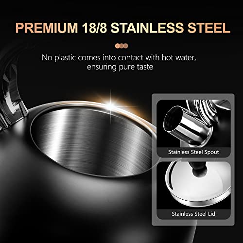 Tea Kettle 3.17QT Stainless Steel Whistling Tea Pot