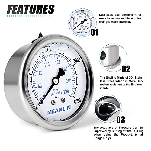 0~4000Psi Stainless Steel 1