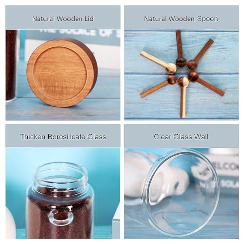 Glass Jar with Acacia Screw Lid and Spoon (3 Count)