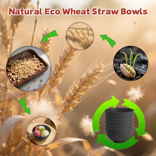 Handy Wheat Straw Bowls Set of 6