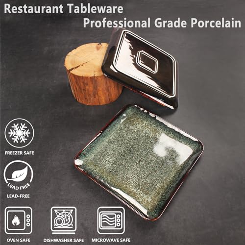 Ceramic Dinner Plates Dish Set (4 Count)