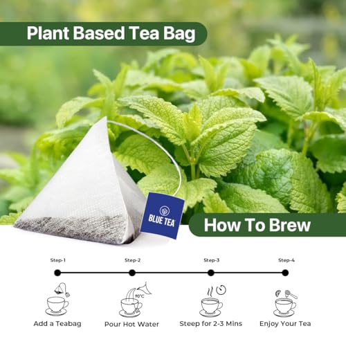 Lemon Balm Tea (10 Count)