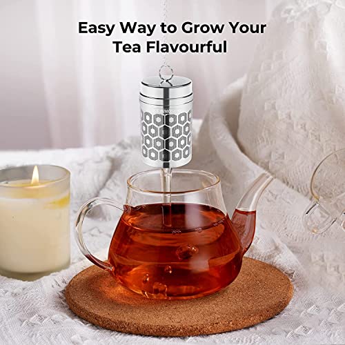 2 Pack Reinmoson 304 Stainless Steel Tea Infuser for Loose Leaf Tea Steeper (2 Count)