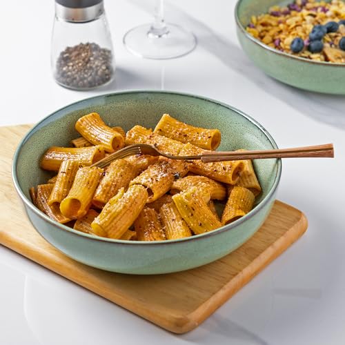 8.75'' Large Ceramic Pasta Bowls (4 Count)