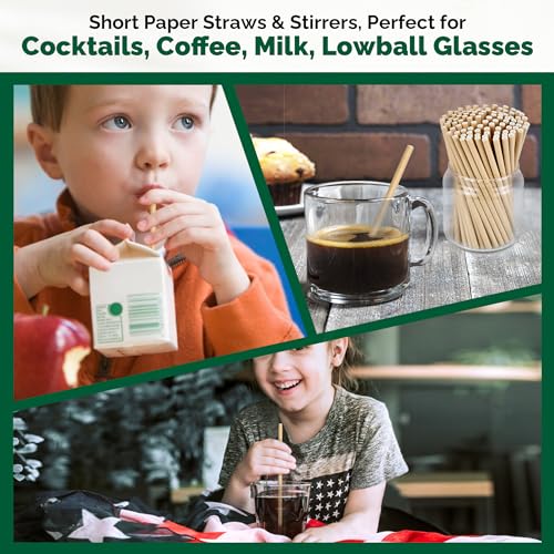 500 Counts] Chunspak 5.75 inch Disposable Brown Kraft Short Paper Cocktail Straws & Stirring Straws