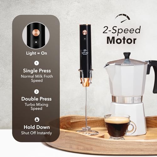 Rechargeable Milk Frother Handheld