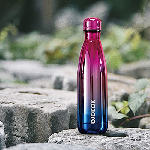 17 oz Insulated Water Bottle