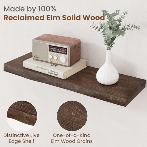 Floating Shelves for Wall Decor (2 Count)