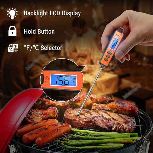 TP01A (2 Pack) Digital Meat Thermometer for Cooking Liquid Deep Frying Oil Candy, Kitchen Food Instant Read Thermometer with Super Long Probe, Backlit, Lock Function (Previously ThermoPro) (2 Count)