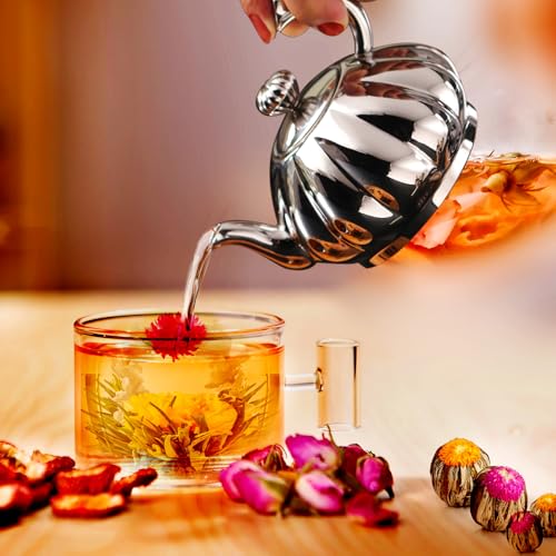 Stainless Steel Teapot with Removable Infuser (12 Ounce)