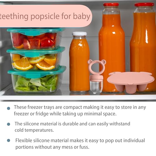 Silicone Baby Food Freezer Tray with Teething Popsicle Molds