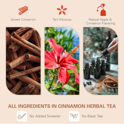Apple Cinnamon Herbal Tea Bags 60 Count