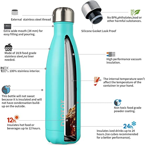 17 oz Insulated Water Bottle