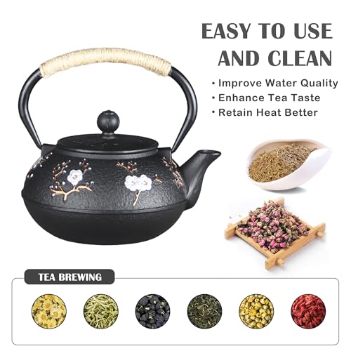Cast Iron Teapot SECHUDO Teapot for Stovetop Safe Coated with Enameled Interior