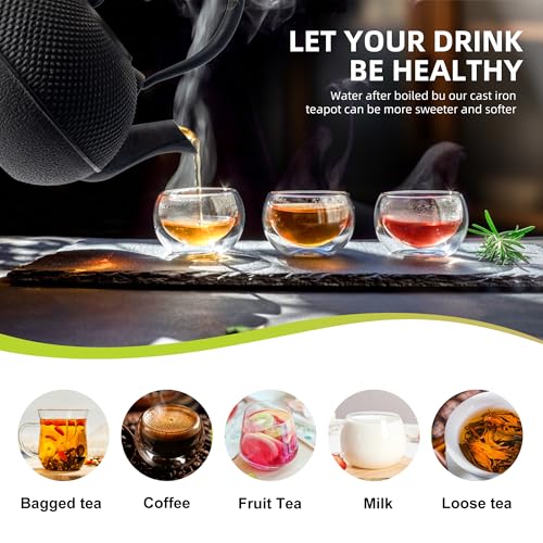 Japanese Tetsubin Cast Iron Teapot Tea Kettle pot with Stainless Steel Infuser for Stovetop Safe Coated with Enameled Interior 22 oz