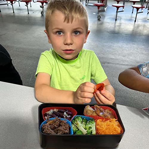 40 Pcs Silicone Lunch Box Dividers (40 Count)