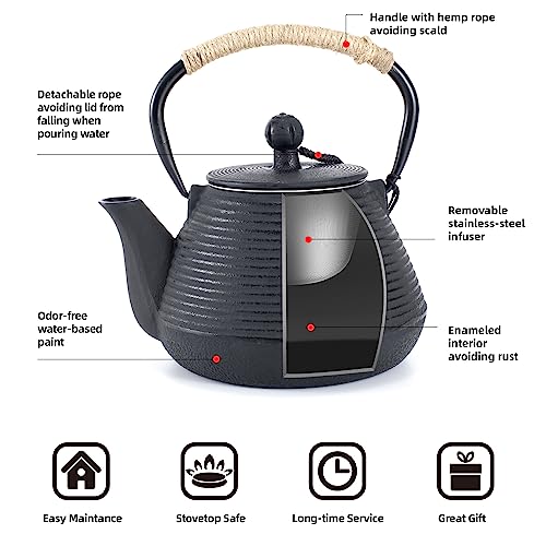 Cast Iron Teapot