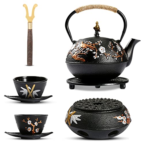 Cast Iron Teapot with Warmer Japanese Tea Kettle 720ml