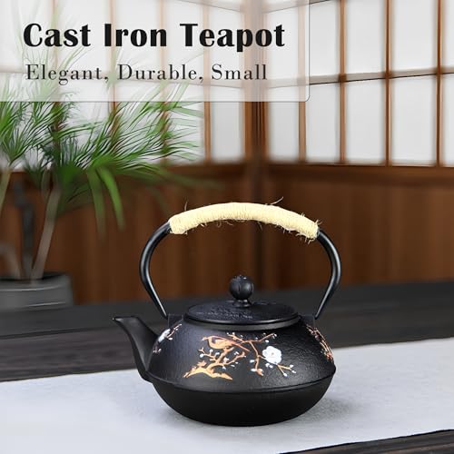Cast Iron Teapot SECHUDO Teapot for Stovetop Safe Coated with Enameled Interior