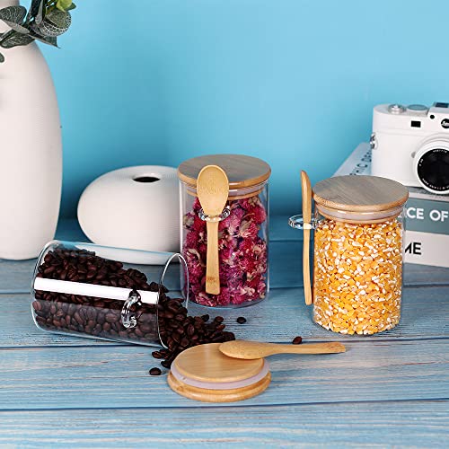 Glass Jar with Bamboo Lid and Spoon (3 Count)