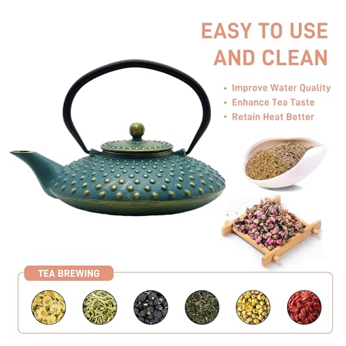 27.1oz Small Cast Iron Teapot with Infuser for Loose Tea
