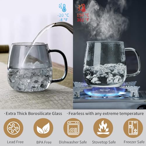 Glass Tea Cup with Infuser and Lid
