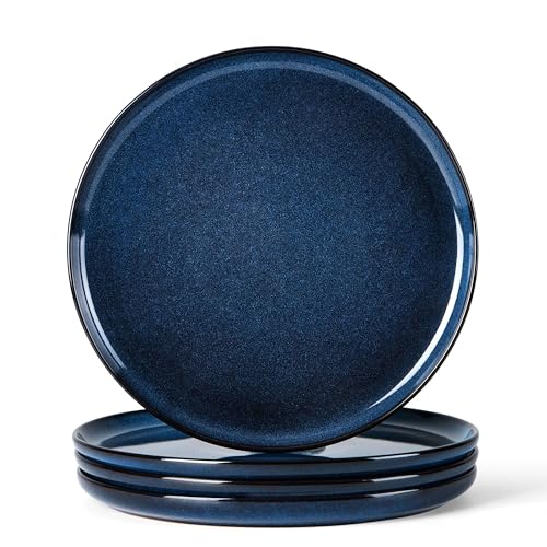 4 Piece Stoneware Dinner Plates Set