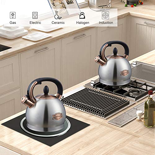 Tea Kettle 2.8 Quart Tea Kettles Stovetop Whistling Teapot Stainless Steel Tea Pots for Stove Top Whistle Tea Pot