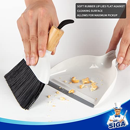 Mini Dustpan and Brush Set