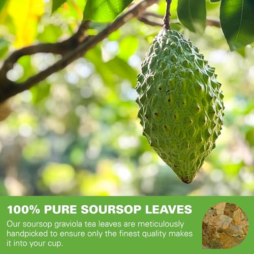 Soursop Leaves Tea Bags 50 Count