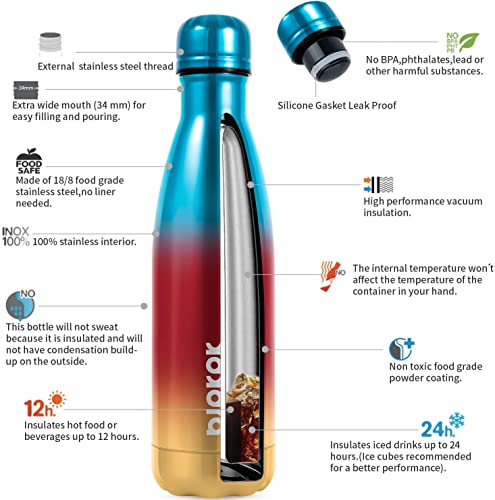 17 oz Insulated Water Bottle