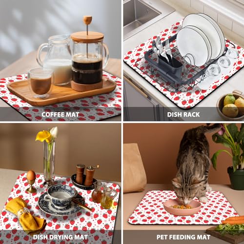 Absorbent Dish Drying Mat