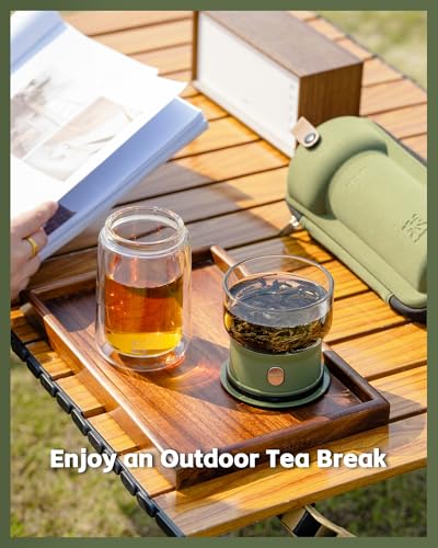 Modern Glass Infuser Teapot