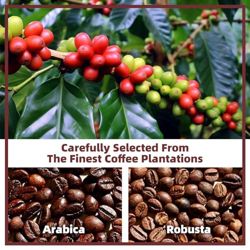 Mushroom Coffee Alternative Cappuccino Mix (11.1 Ounce)
