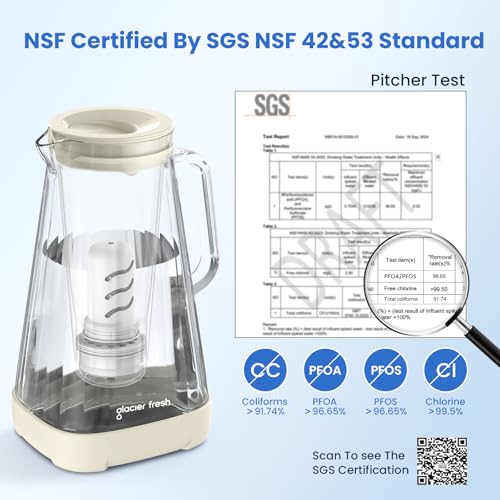 10 Cup Purela Glass Water Pitcher With 2 Filters