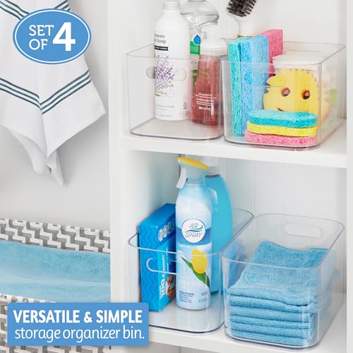 Bliss 10" x 6" Open Clear Pantry Organizer Bin (4 Count)