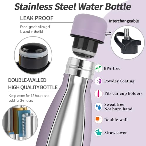 Insulated Water Bottle
