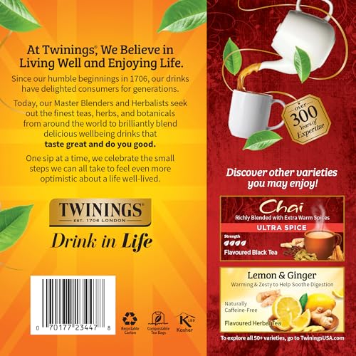 Chai Black Tea Individually Wrapped Bags (100 Count)