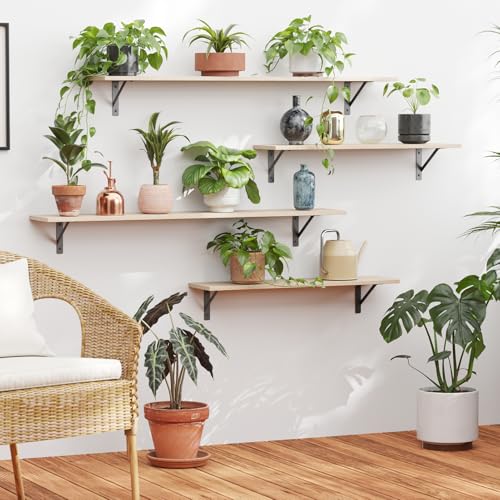 Long Wall Shelves (2 Count)