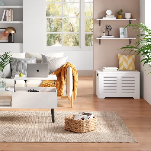 Long Wall Shelves (2 Count)