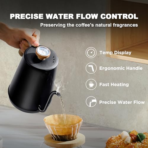 Electric Gooseneck Kettle with Thermometer