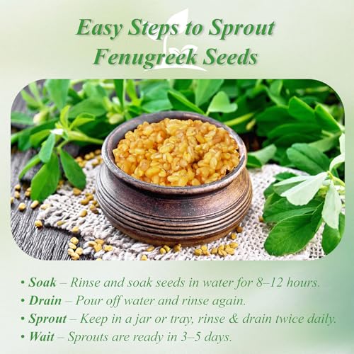 Fenugreek Tea Bags 100 Count *3g