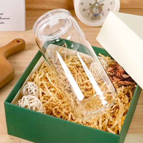 2pcs Glass Cups with Acrylic Lids and Straws 20 oz Drinking Glasses (2 Count)