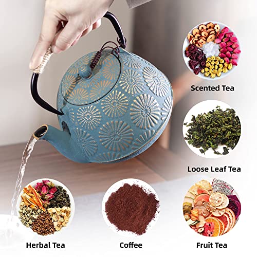 Cast Iron Teapot