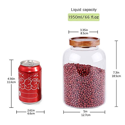 Large Glass Food Canisters
