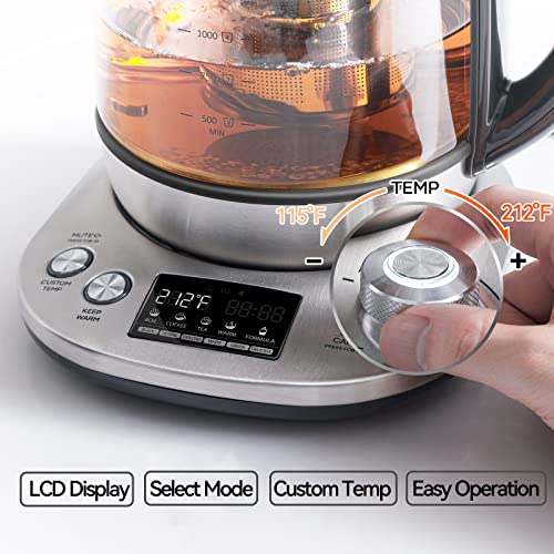 Electric Tea Kettle with Removable Infuser