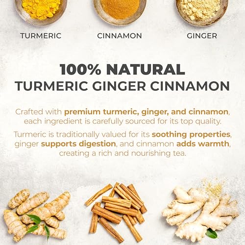 Ginger Turmeric Cinnamon Tea Bags (240 Count)