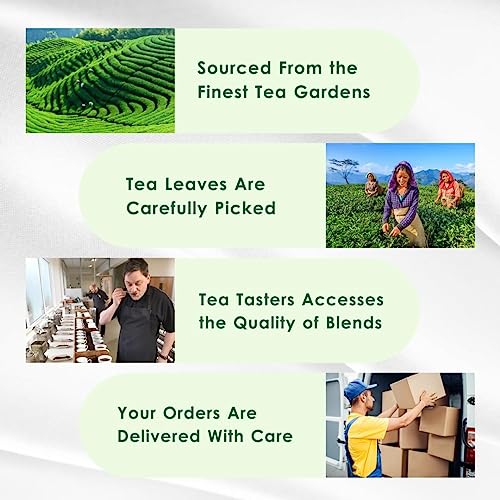 Tealeaf & Co. Turmeric Tulsi Holy Basil Green Tea Loose Leaf (3.5274 Ounce)
